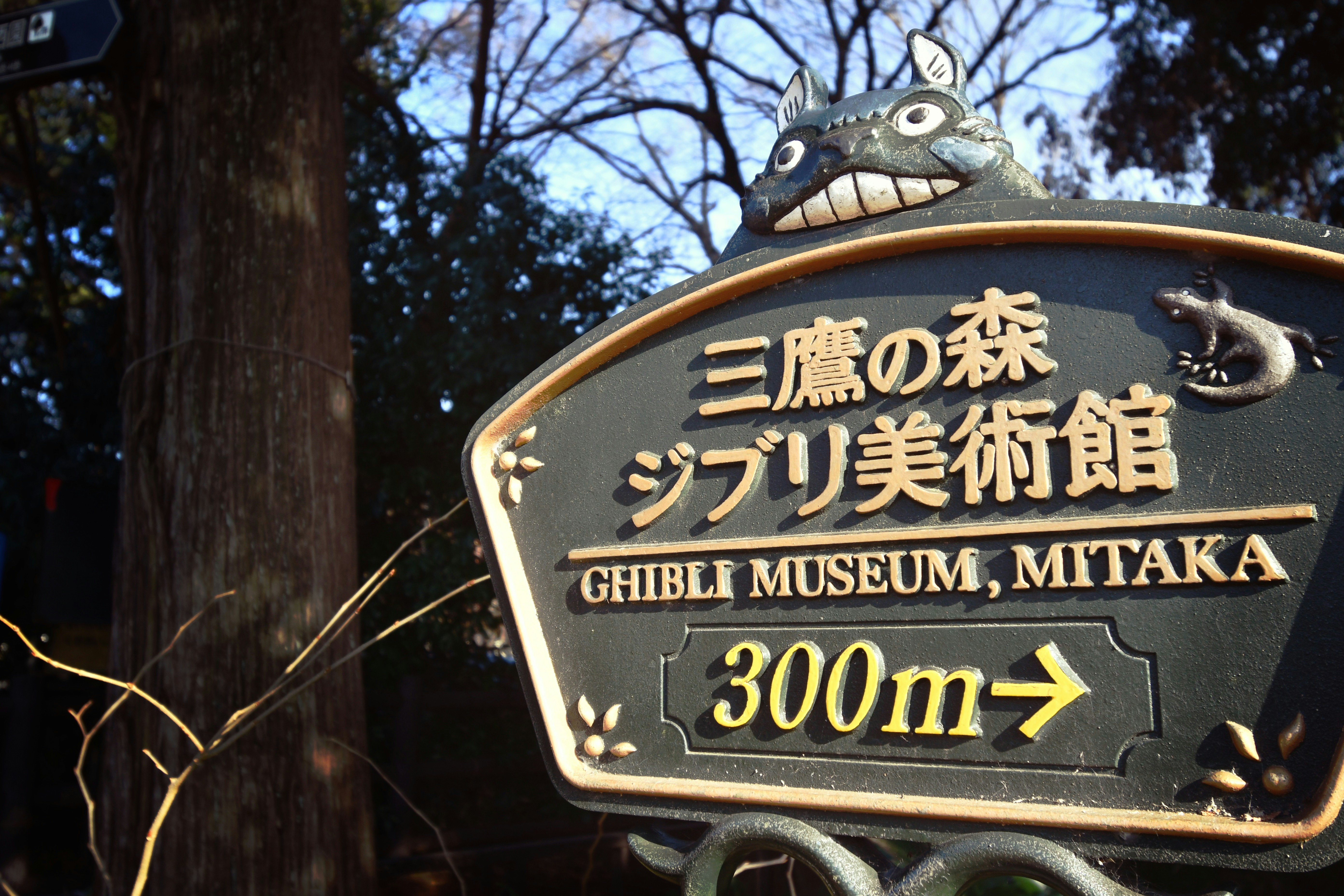 Studio Ghibli: A Heartwarming Fantasy World – Experience It in Japan!