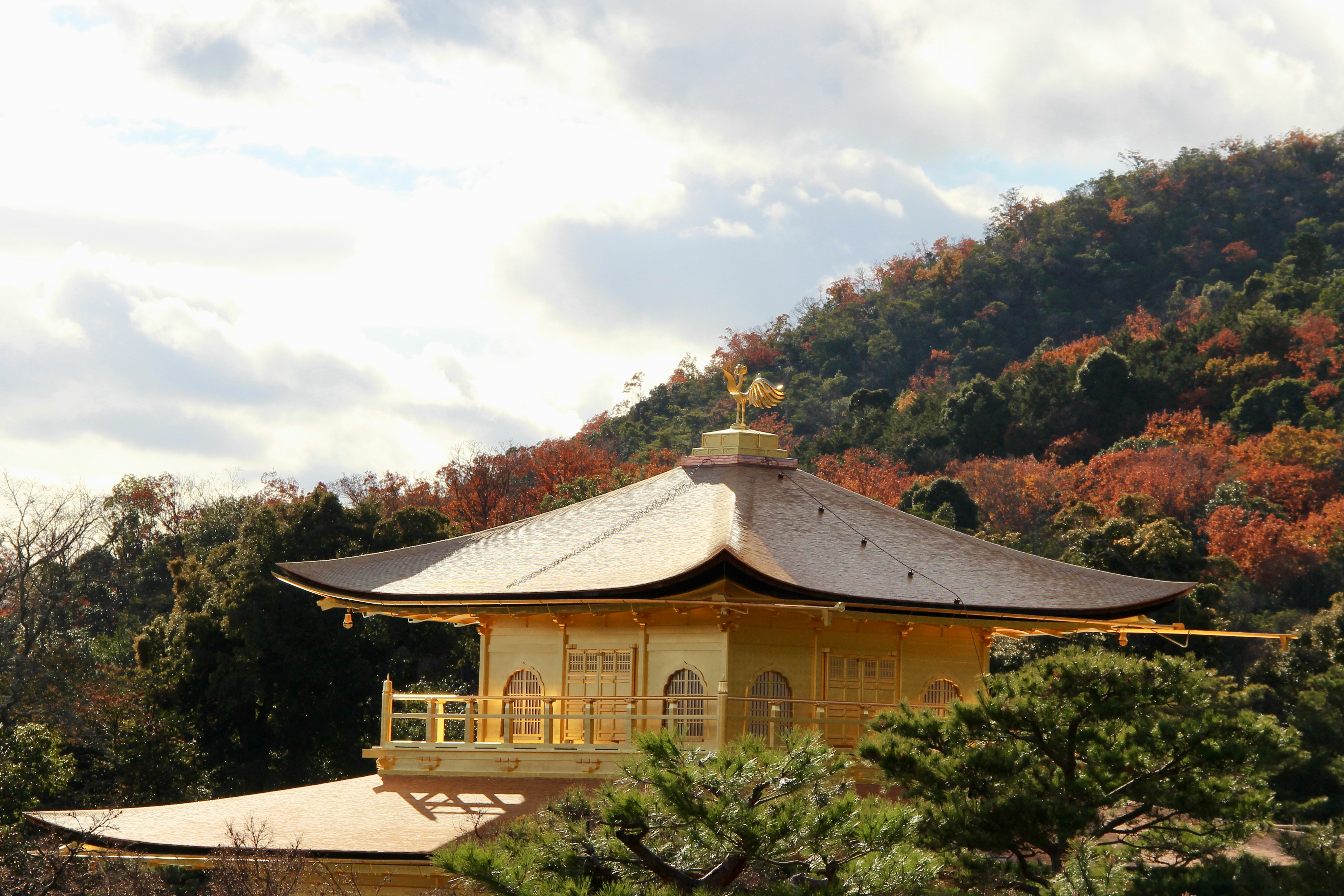 Kyoto: The City of a Thousand Temples and the Charm of Japan's Past